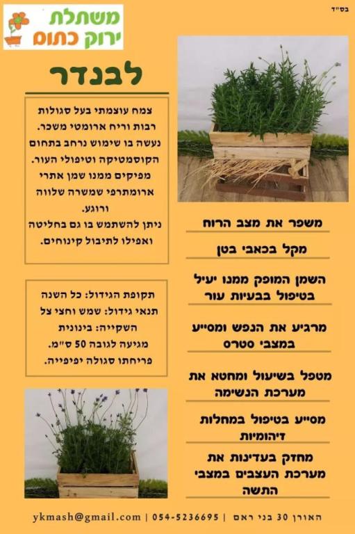 משתלת ירוק כתום משתלת ירוק כתום