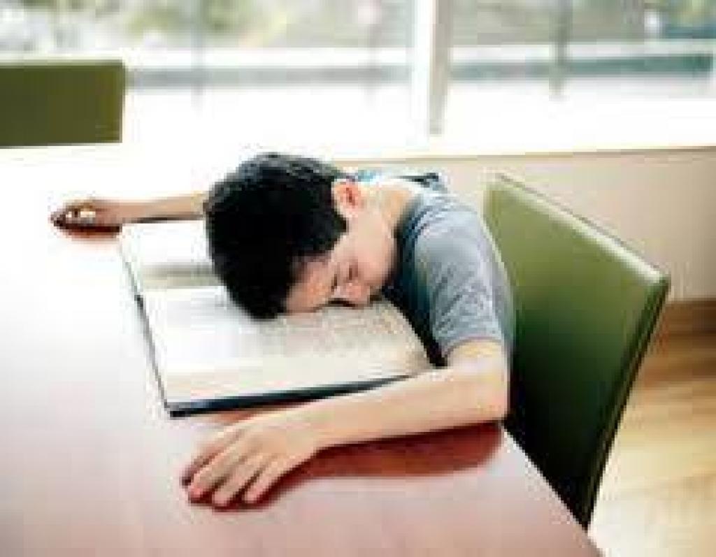 Learn Wise מורה פרטי חכם Learn Wise מורה פרטי חכם