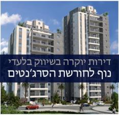 משה שווק נדל"ן