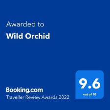 סחלב פראי Wild Orchid