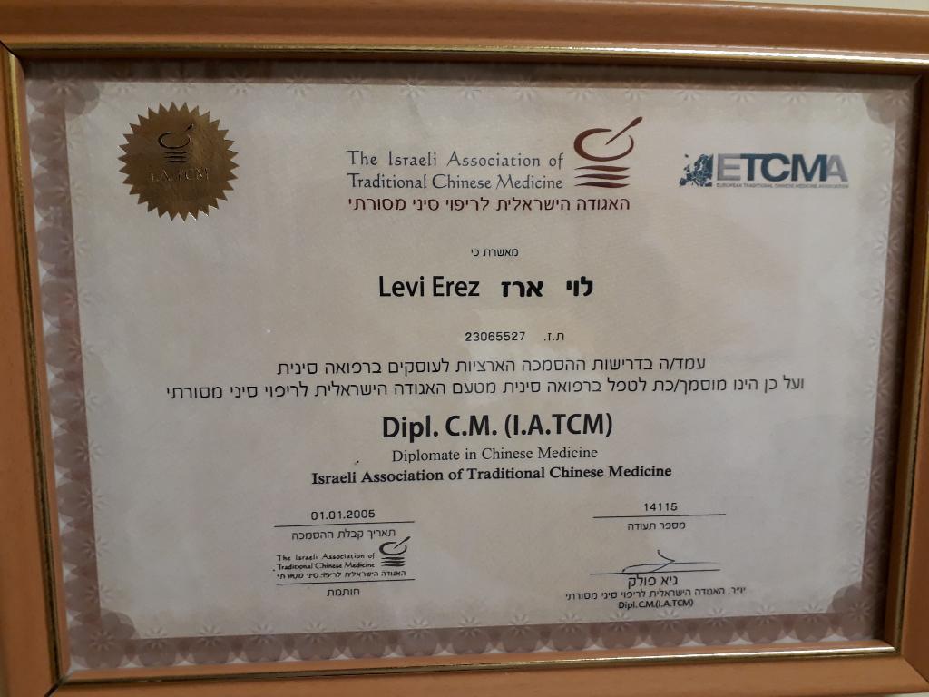 ארז לוי ארז לוי