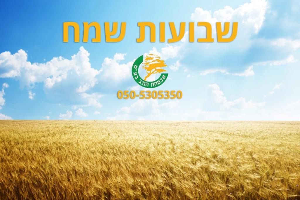 אבטחת הנגב אבטחת הנגב