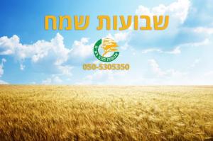 אבטחת הנגב