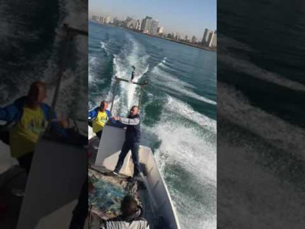 דגים אדי בטשון דגים אדי בטשון