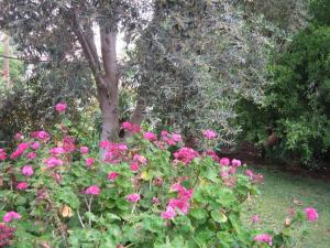 Villa nahalal