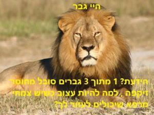משתלת יובל שקט וזורם