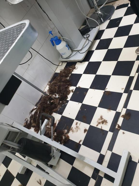 מספרת סנופי מספרת סנופי