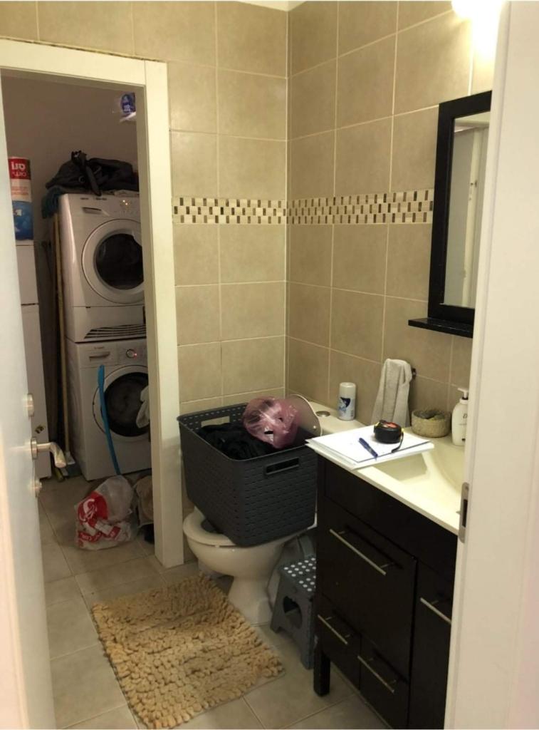 דקל לוי דקל לוי