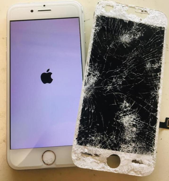 המעבדה המקצועית המעבדה המקצועית