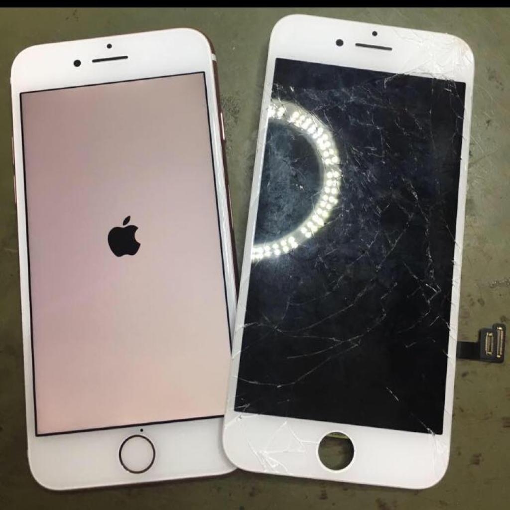 המעבדה המקצועית המעבדה המקצועית