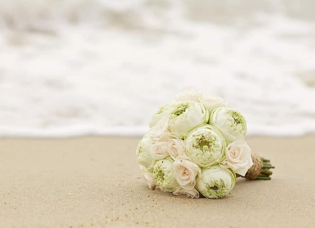 שירן גולן הפקת אירועים שירן גולן הפקת אירועים