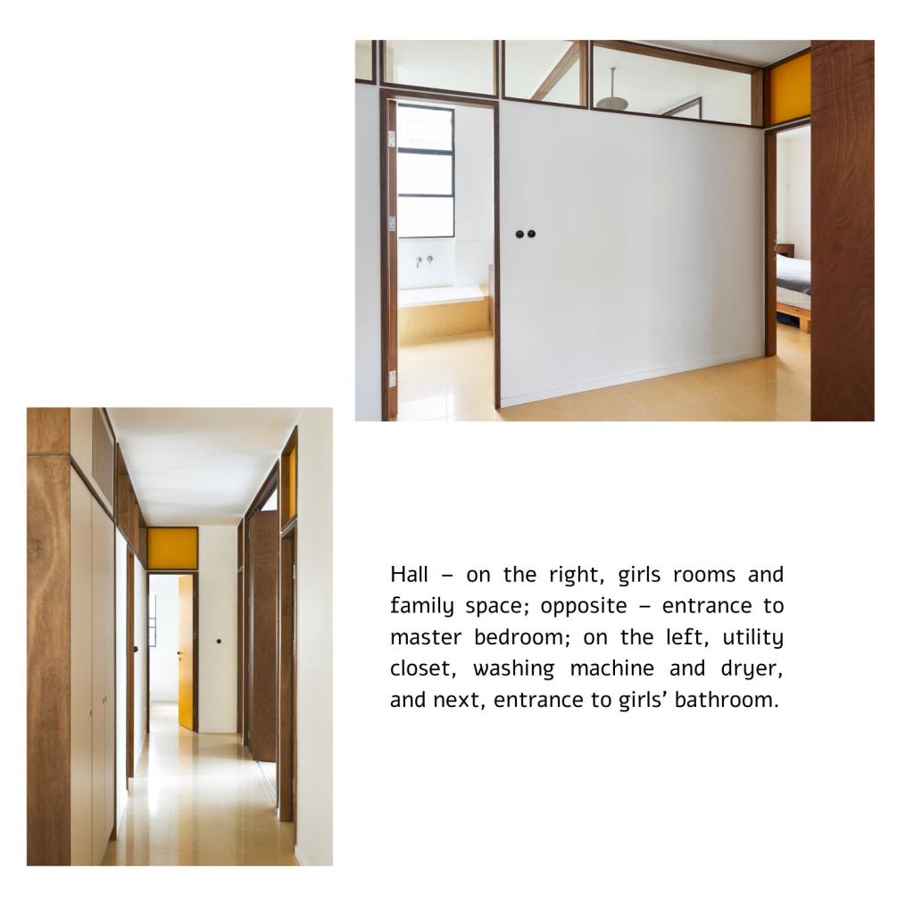 אמיר ויזר אמיר ויזר