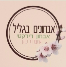 אבחון פסיכודידקטי והוראה מתקנת- מכון אושרת