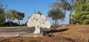 שיר פלסטיקה