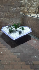 שיר פלסטיקה