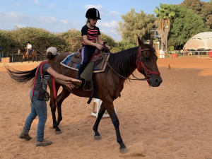 חוות דוד הורס קלאב