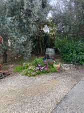 יקב ראובן