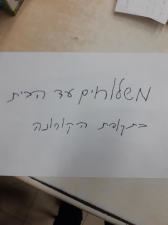 איגי שגב