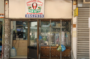 חיש צח שלמה בן יוסף