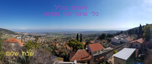 ניגונים בגליל  מנוהל