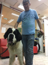 MEDICAL VET