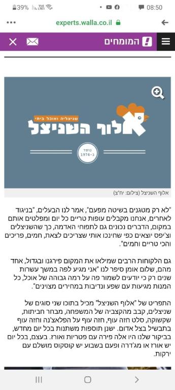 אלוף השניצל אלוף השניצל