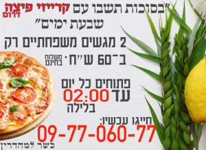קרייזי פיצה