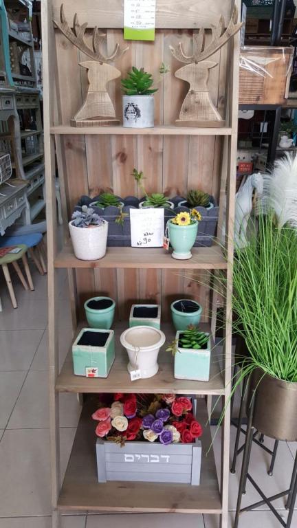 סטייל דיזיין סטייל דיזיין