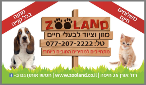 זולנד