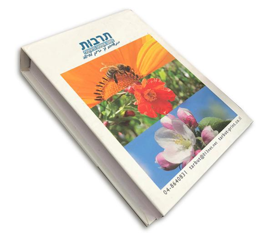 דפוס תרבות מולכו דפוס תרבות מולכו