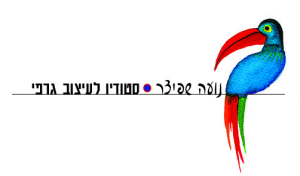 נועה שפיצר קם