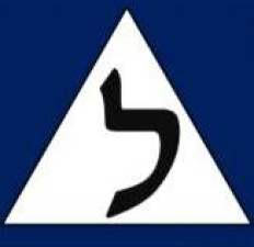 שרון ויפרבניק מורה נהיגה