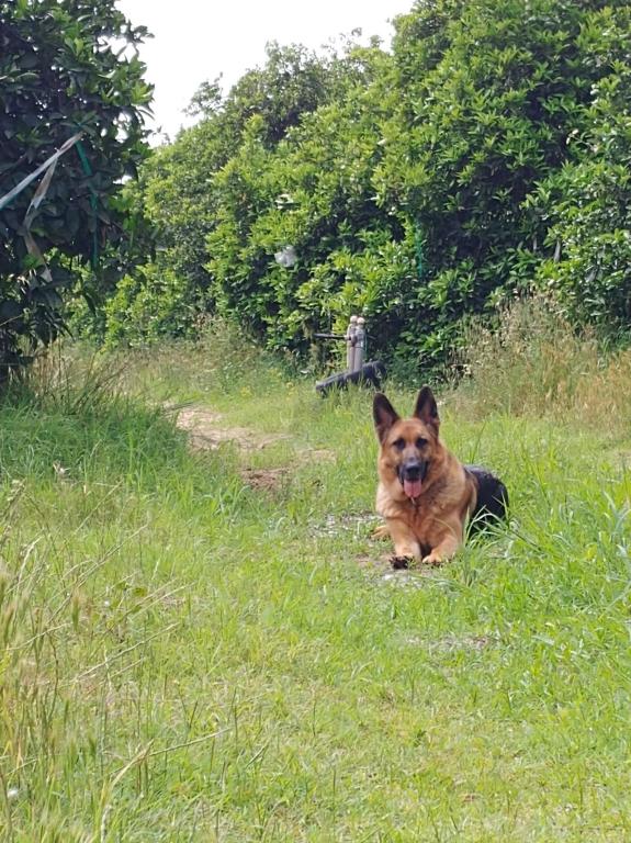 מרפאת גל חיות מרפאת גל חיות