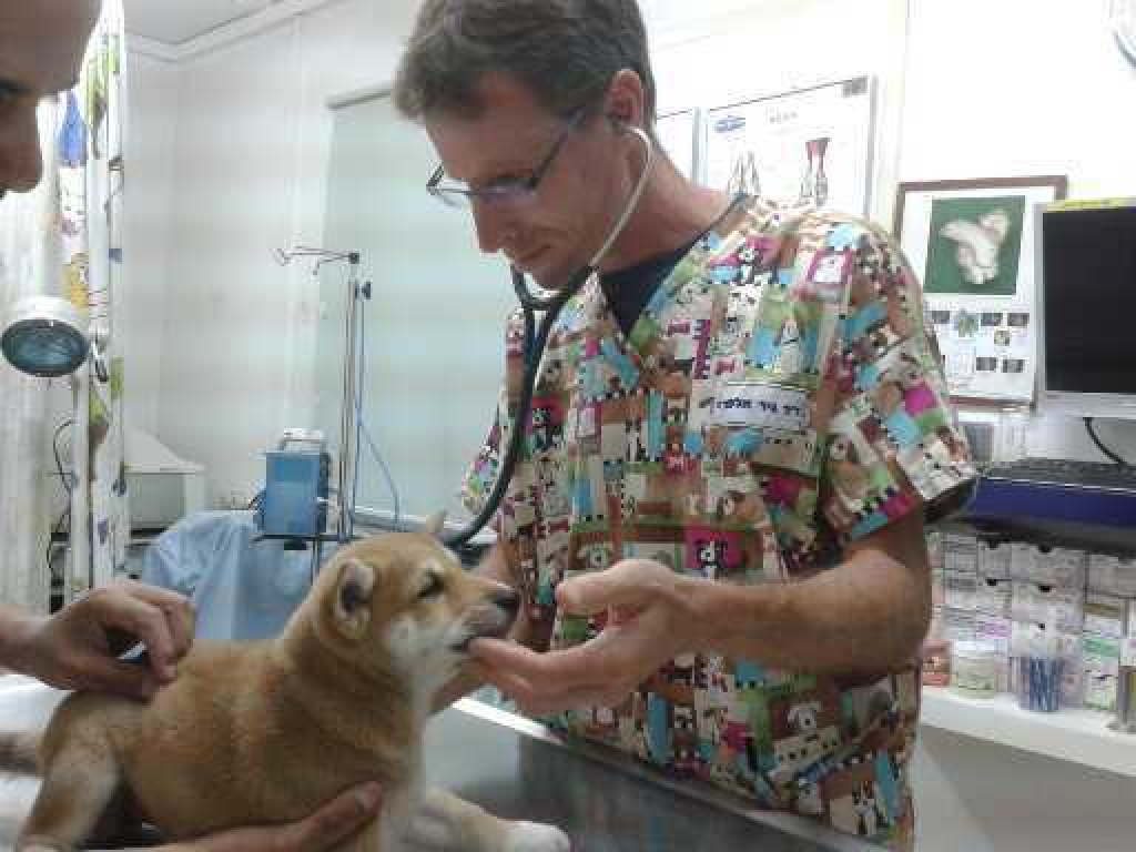 מרכז וטרינרי אפיקים מרכז וטרינרי אפיקים