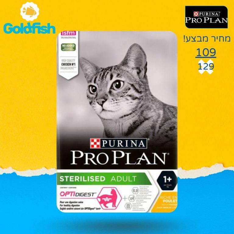 גולד פיש גולד פיש