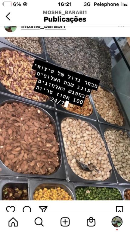 מפגש האלמוגים מפגש האלמוגים