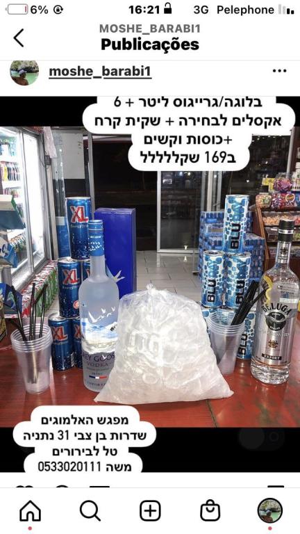 מפגש האלמוגים מפגש האלמוגים