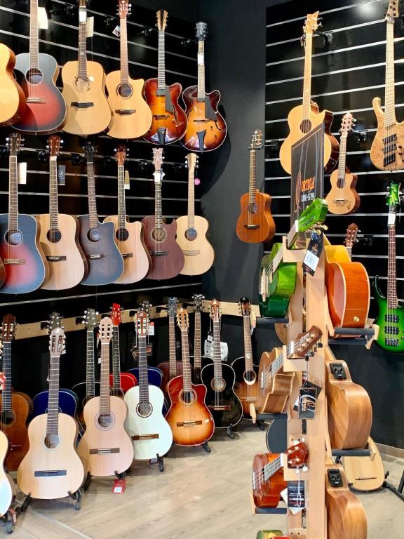 שלמון כלי נגינה שלמון כלי נגינה