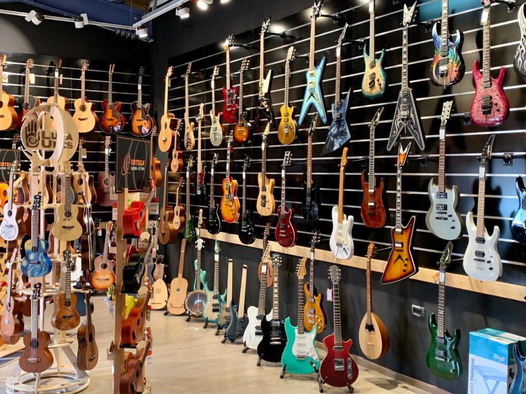 שלמון כלי נגינה שלמון כלי נגינה