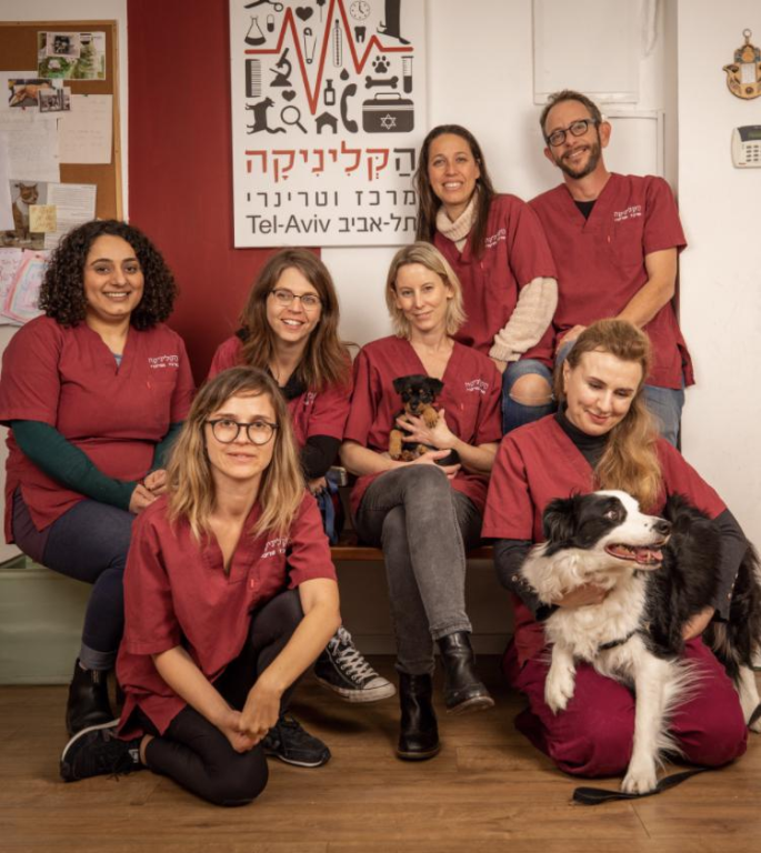 הקליניקה מרכז וטרינרי הקליניקה מרכז וטרינרי