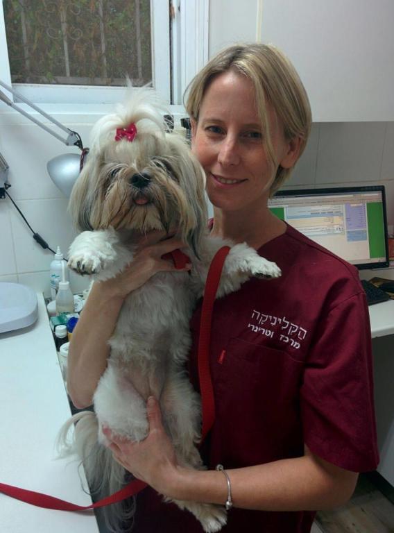 הקליניקה מרכז וטרינרי הקליניקה מרכז וטרינרי