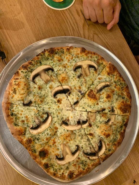 פלומבה פלומבה