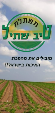 טיב שתיל