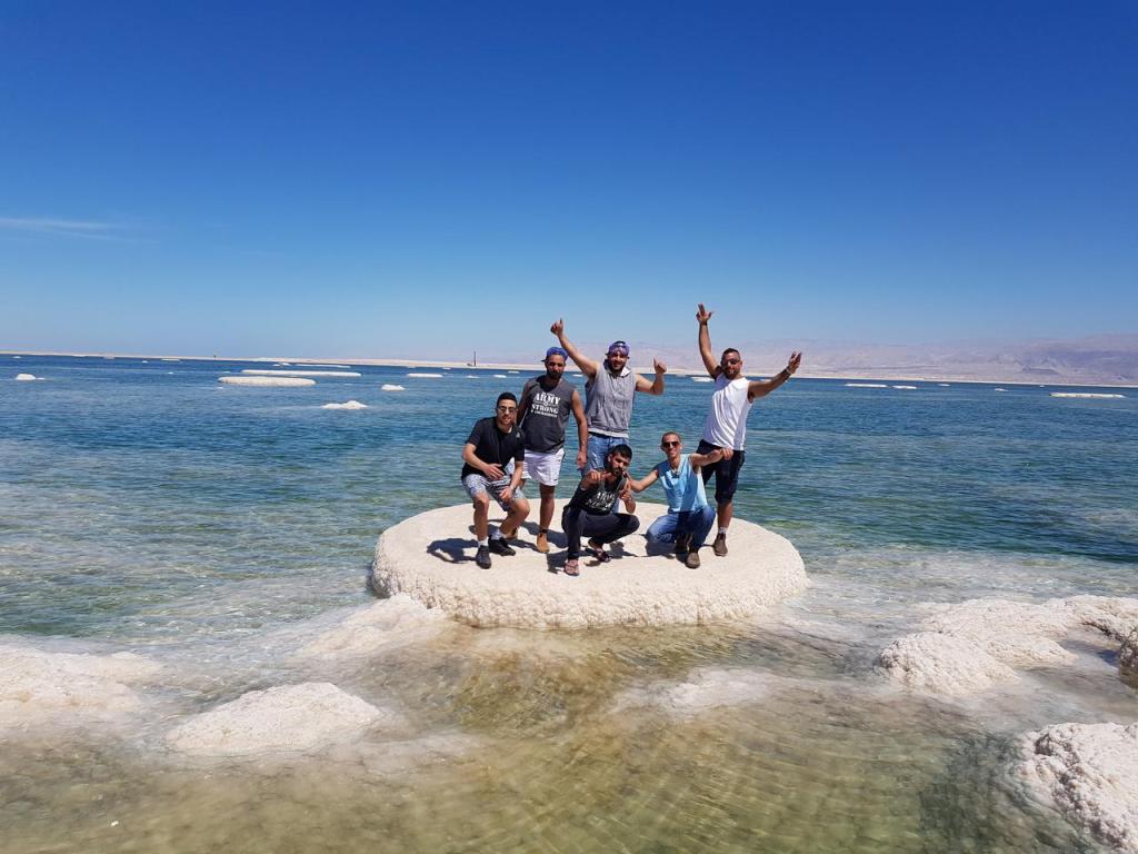 פרא המדבר פרא המדבר