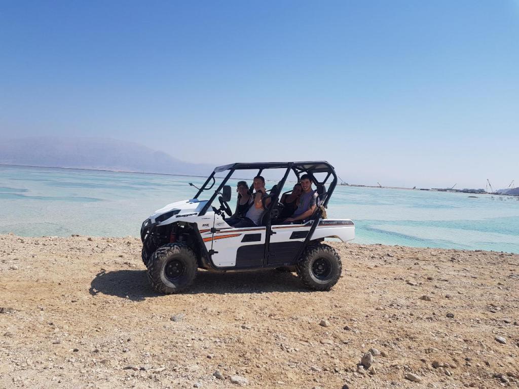 פרא המדבר פרא המדבר