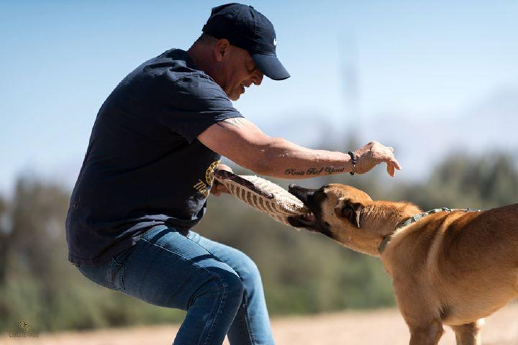 אביב אילוף כלבים אביב אילוף כלבים