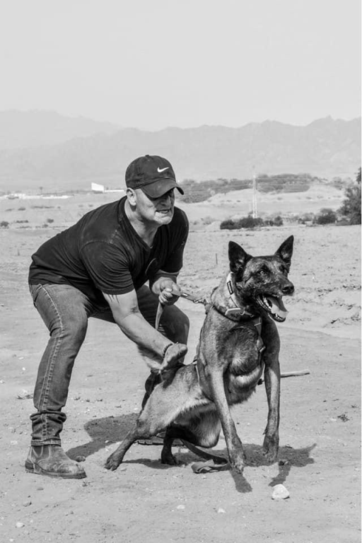 אביב אילוף כלבים אביב אילוף כלבים