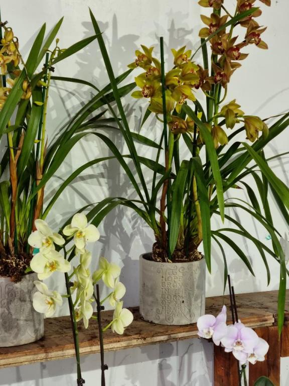 משתלת נקודת חן משתלת נקודת חן