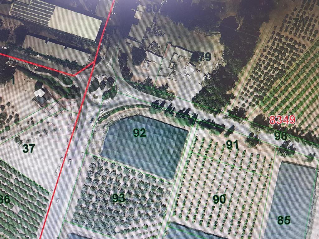 אבו צאפי מדידות אבו צאפי מדידות