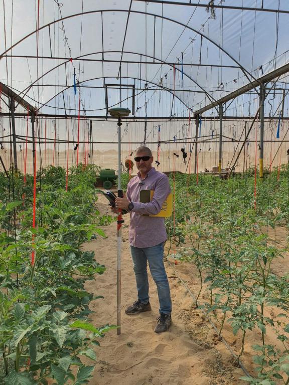 אבו צאפי מדידות אבו צאפי מדידות